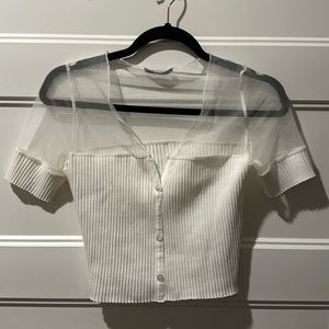 Zara Mesh Top